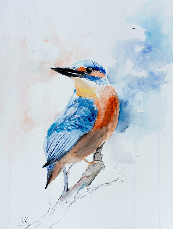 Eisvogel Yuriy Kraft