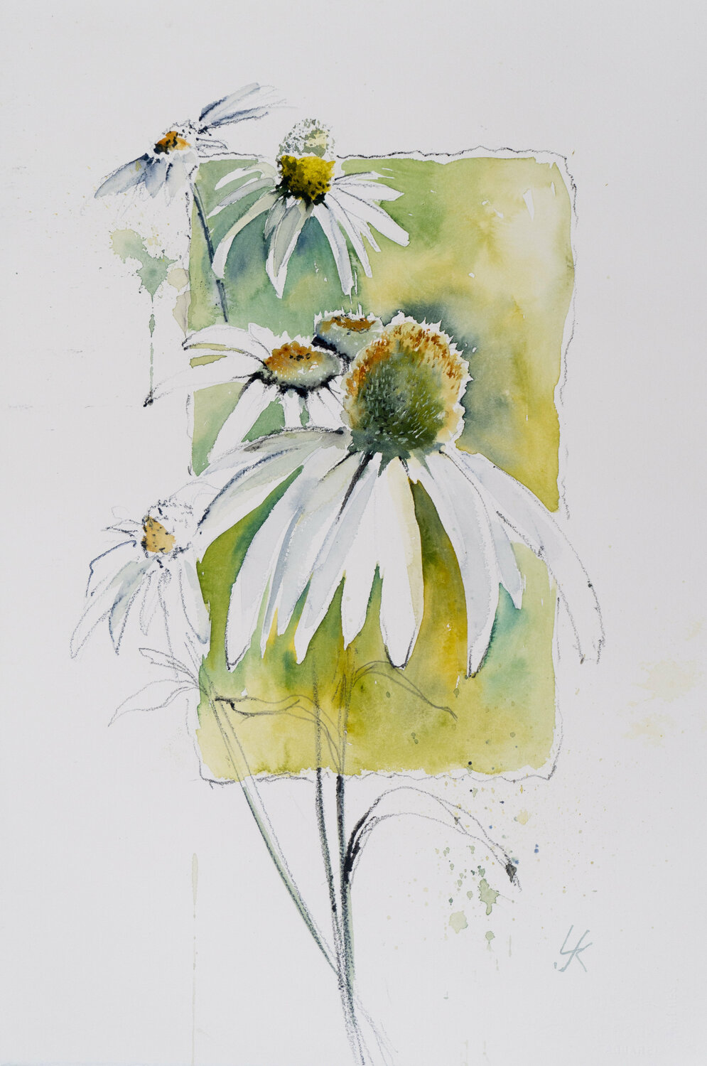 Flowers comp II Yuriy Kraft