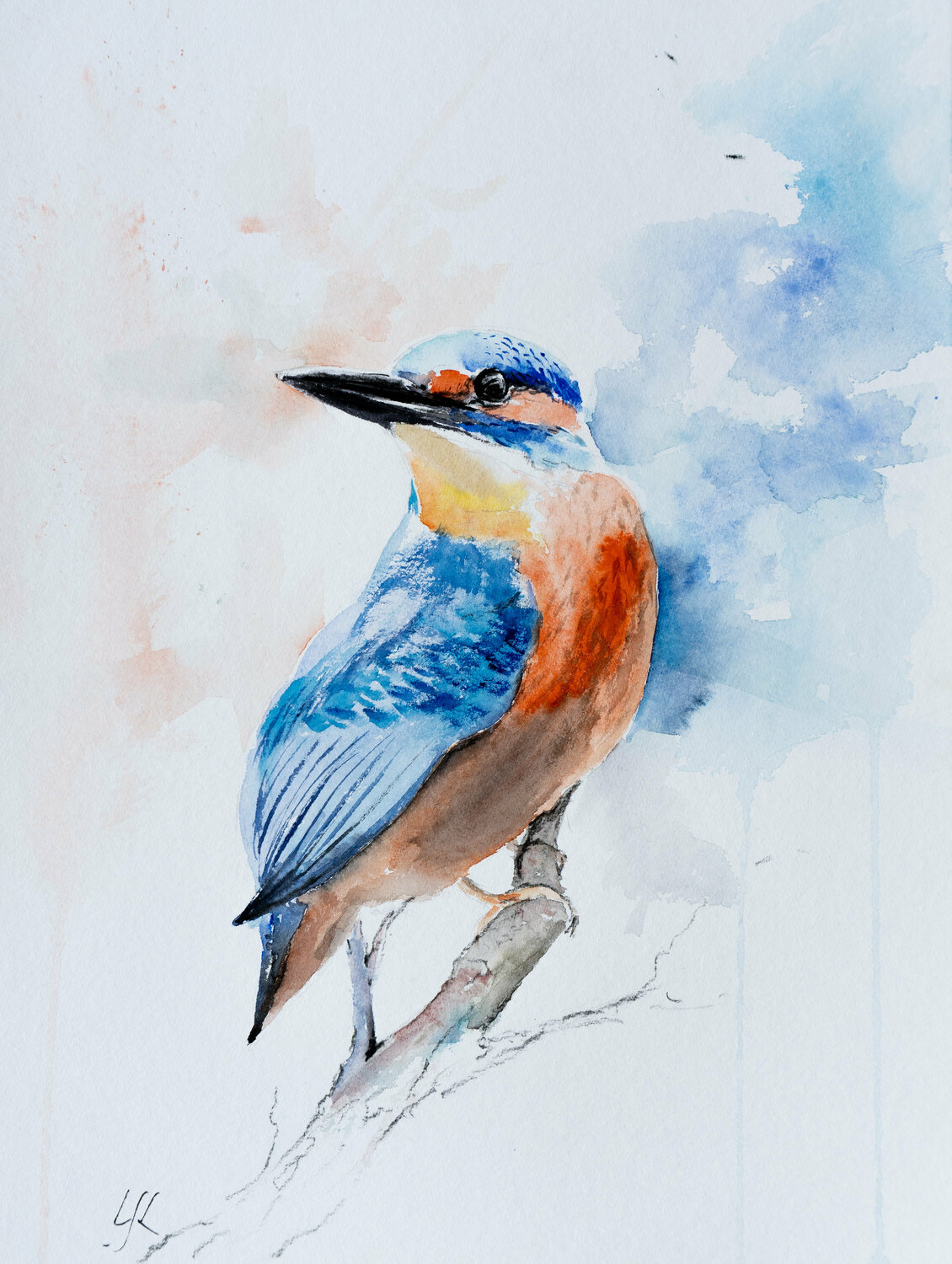 Eisvogel Yuriy Kraft