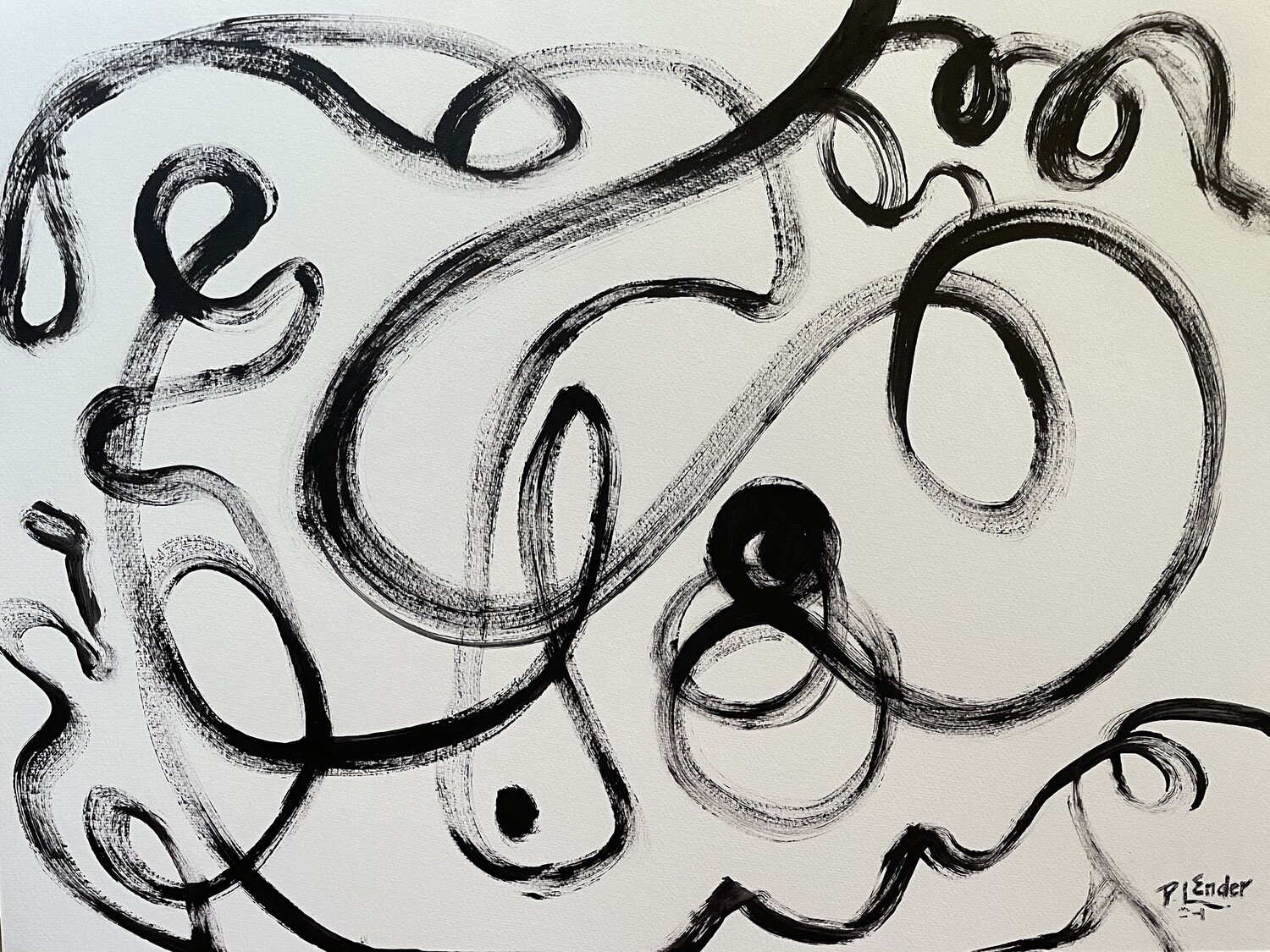 Guiding The Eye Pauline Ender