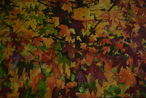 Diversity de Adam Faglio, Pintura a la venta en Singulart