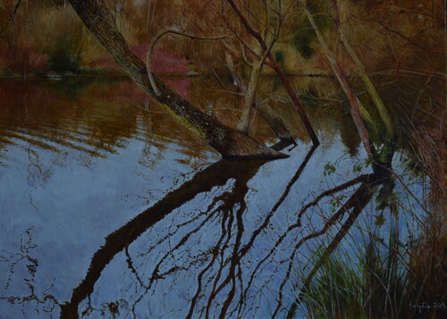 On the way to Tesco II Adam Faglio