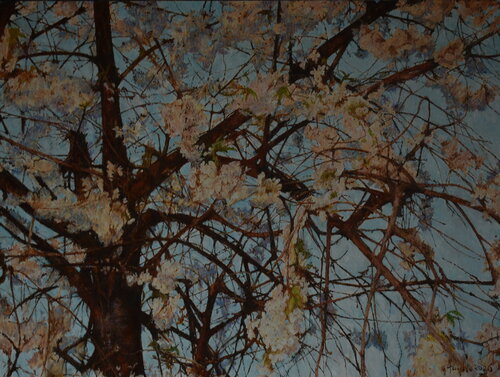 Clearance by Adam Faglio, Painting for Sale on Singulart