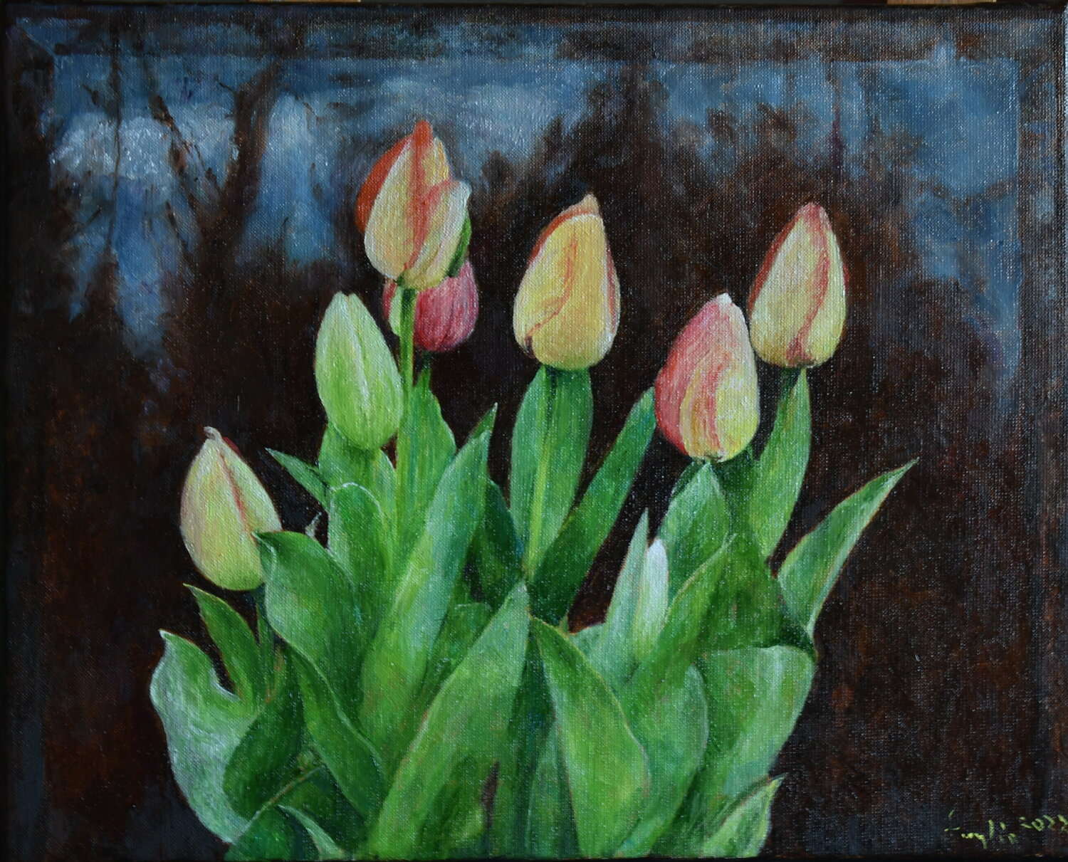 Tulips Adam Faglio