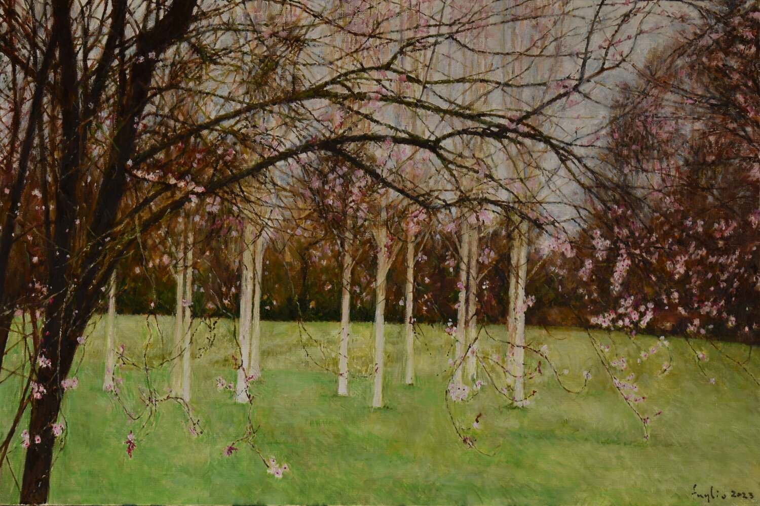 Spring cleaning Adam Faglio