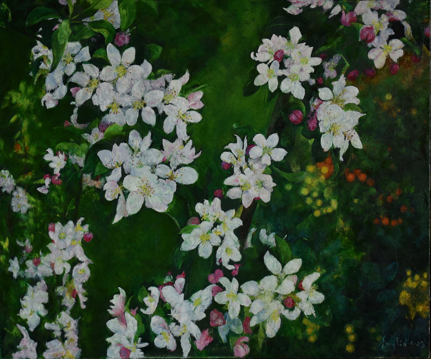 Paradise apple tree Adam Faglio