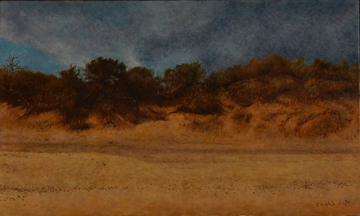Dunes Adam Faglio