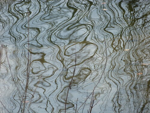 Calligraphie ondine van Joss, Fotografie te koop op Singulart
