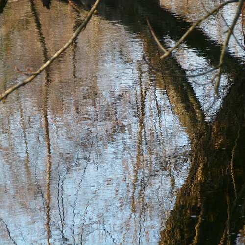 Avant la neige van Joss, Fotografie te koop op Singulart