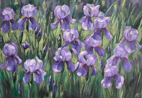 Iris Parade van Anna Reznikova, Schilderij te koop op Singulart
