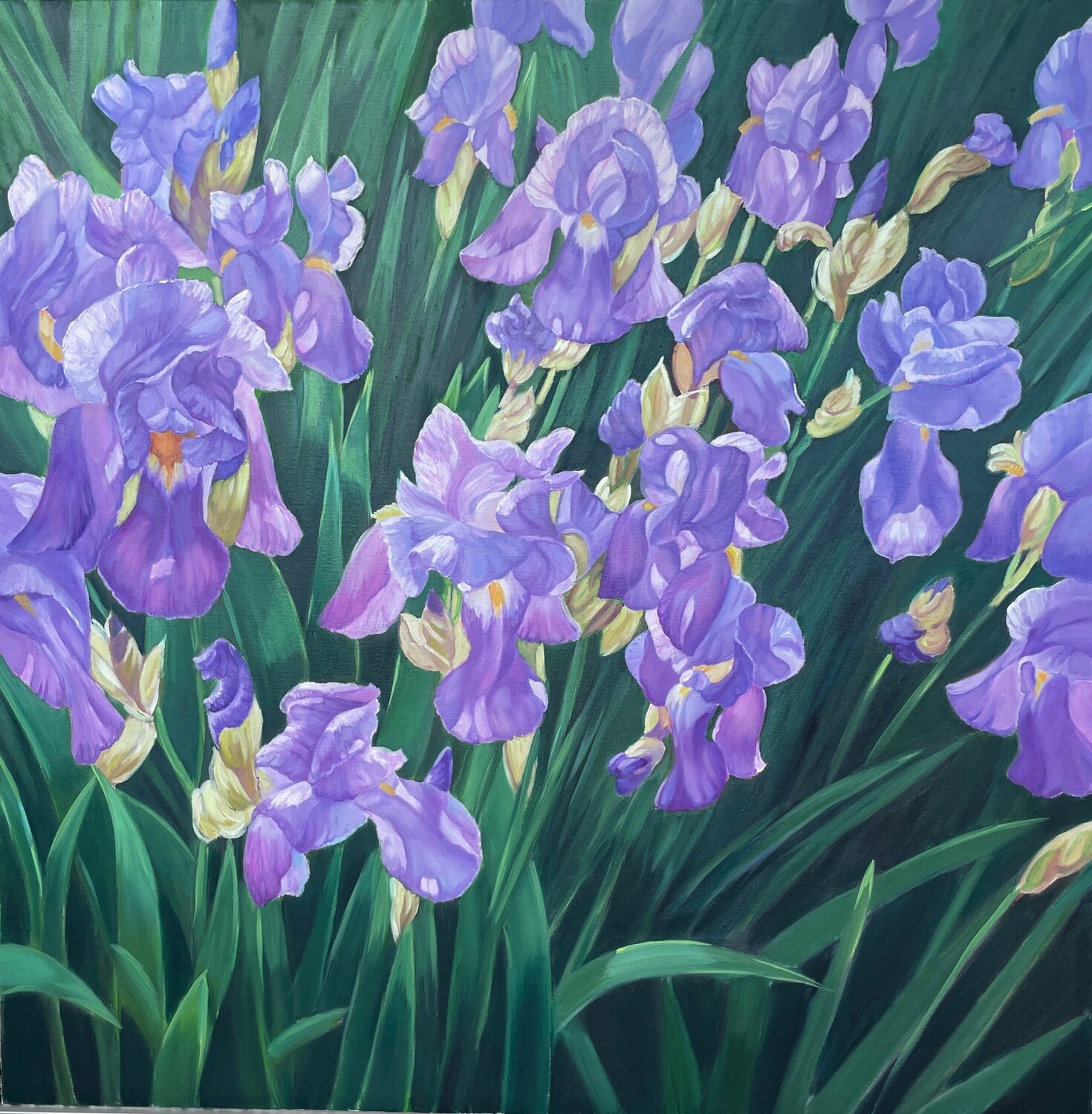 Iridescent Irises Anna Reznikova