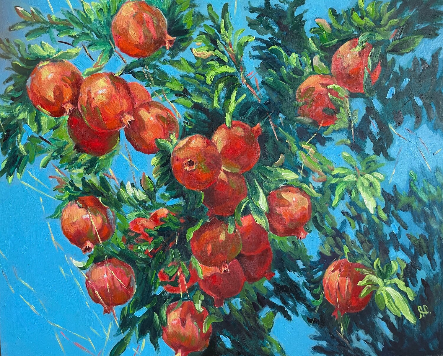 Pomegranate Anna Reznikova