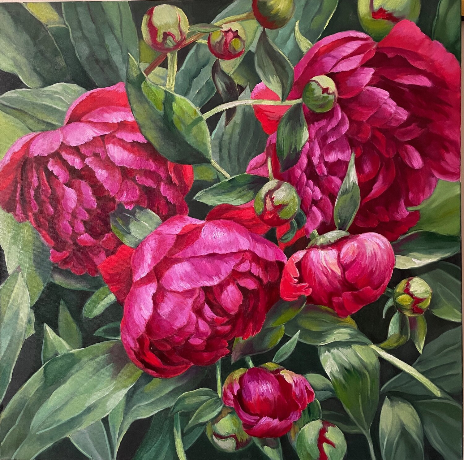 Hushed Pink Symphony Anna Reznikova