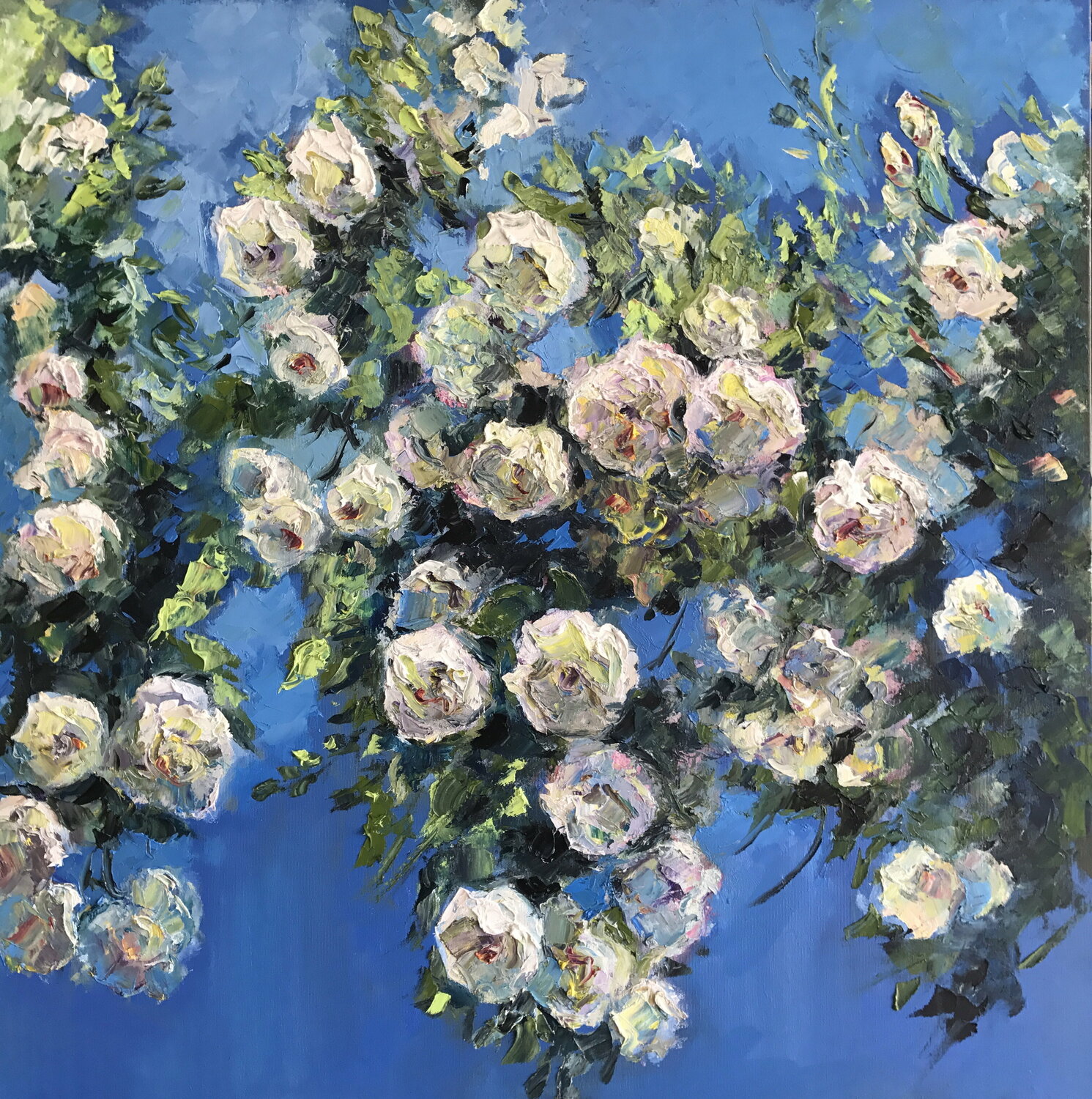 Blooming  Roses Anna Reznikova