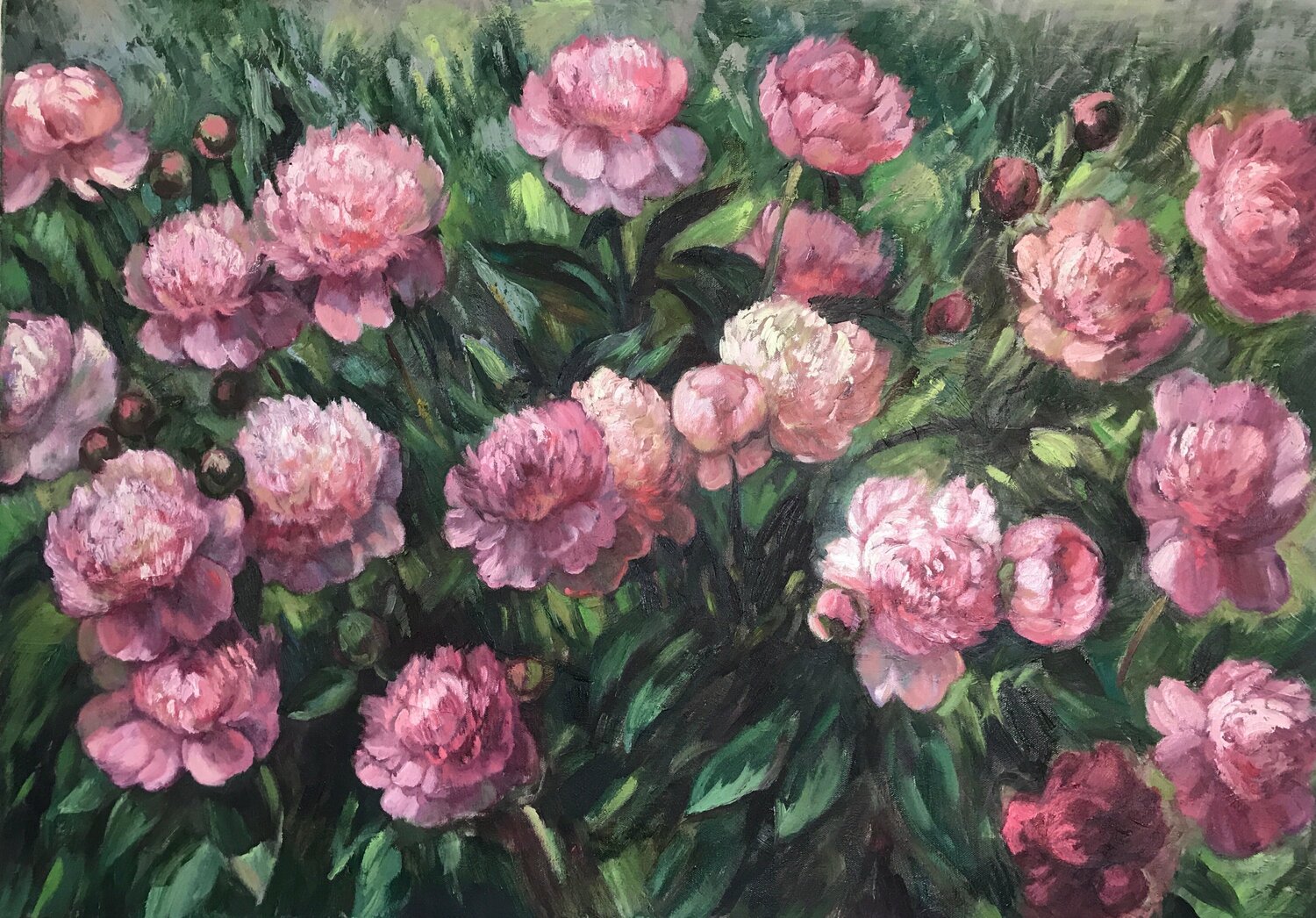 Peonies in Garden Anna Reznikova