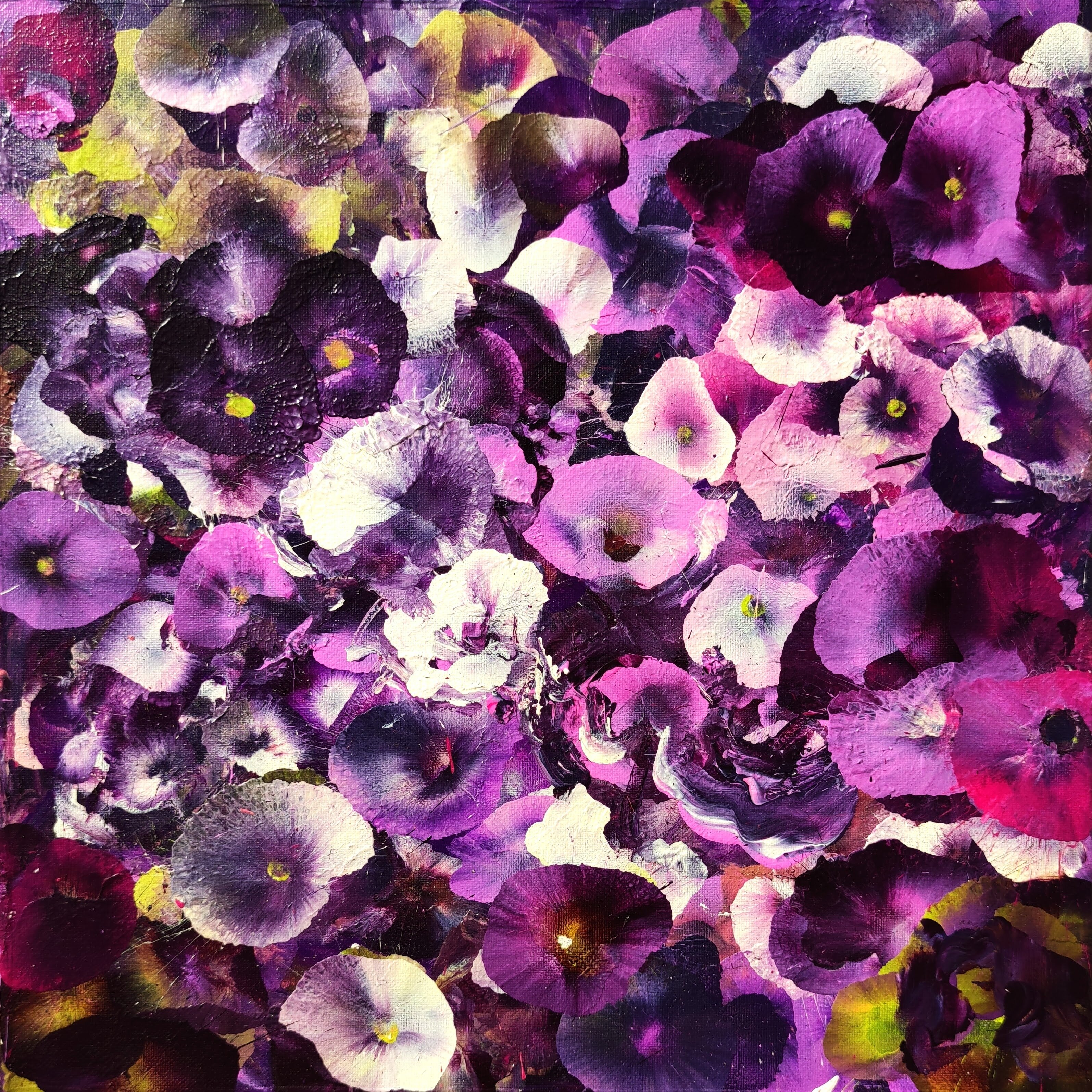 Mystères du Violet 5