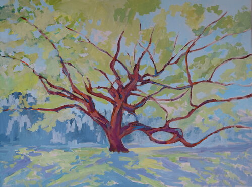 The Oaks Journey van Tamara Gonda, Schilderij te koop op Singulart