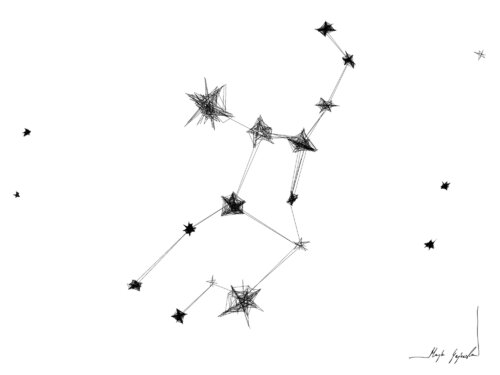 Graphic work - Virgo (23.08–22.09) Maja Gajewska