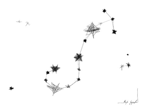 Graphic work - Scorpio (23.10–21.11) par Maja Gajewska, Œuvre sur papier en vente sur Singulart