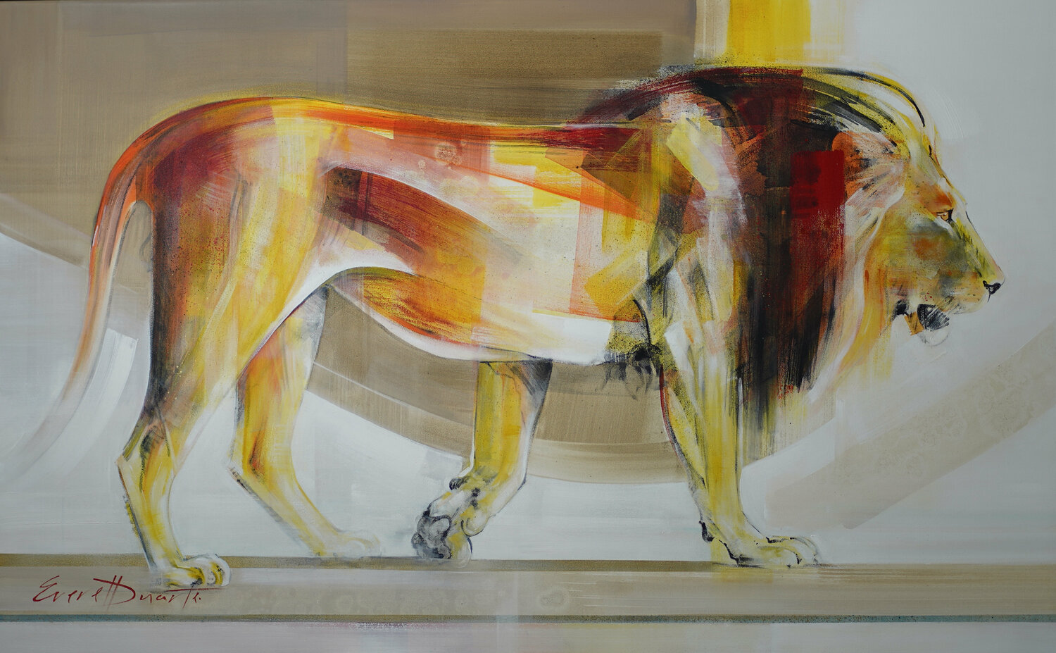 "Unfold" - Kalahari Lion Everett Duarte