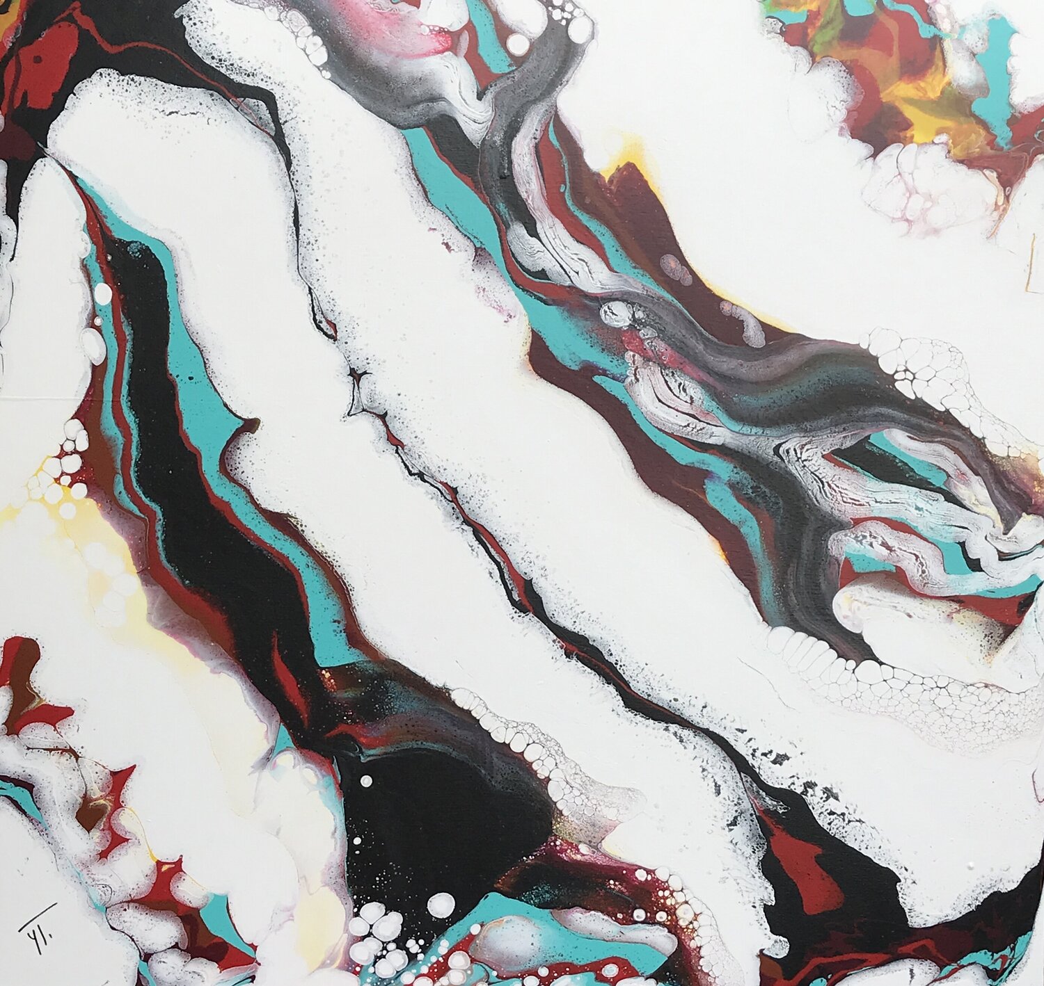 Avalanche Yves Thomas