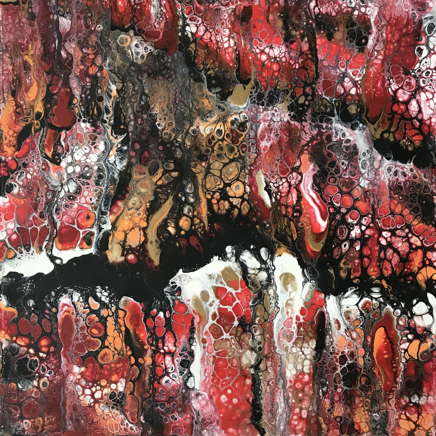 La rivière noire. Yves Thomas