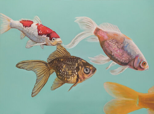 Fishellaneous van Valeria Pesce, Schilderij te koop op Singulart