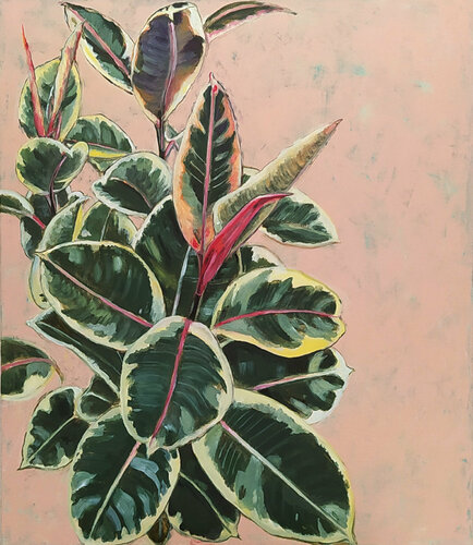 Ficus con corazón rojo van Valeria Pesce, Schilderij te koop op Singulart