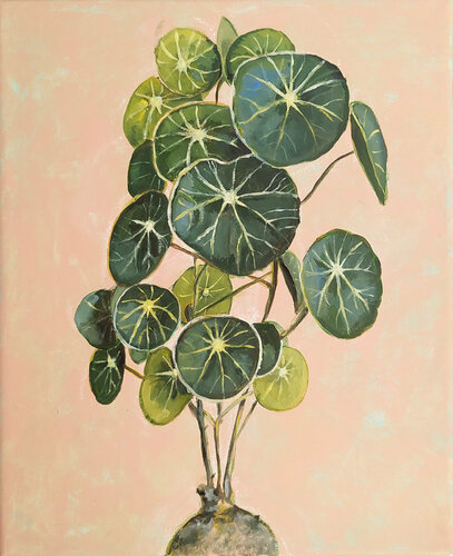 Stephania erecta by Valeria Pesce, Painting for Sale on Singulart