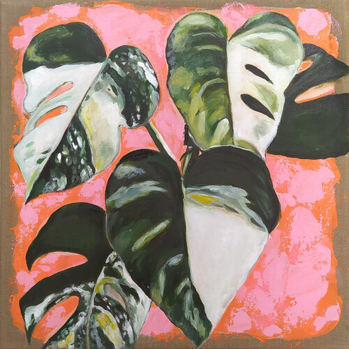 Plant on pink van Valeria Pesce, Schilderij te koop op Singulart