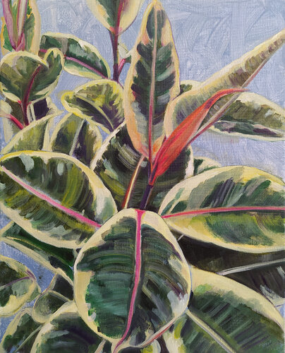 Ficus screziato di Valeria Pesce, Pittura in vendita su Singulart