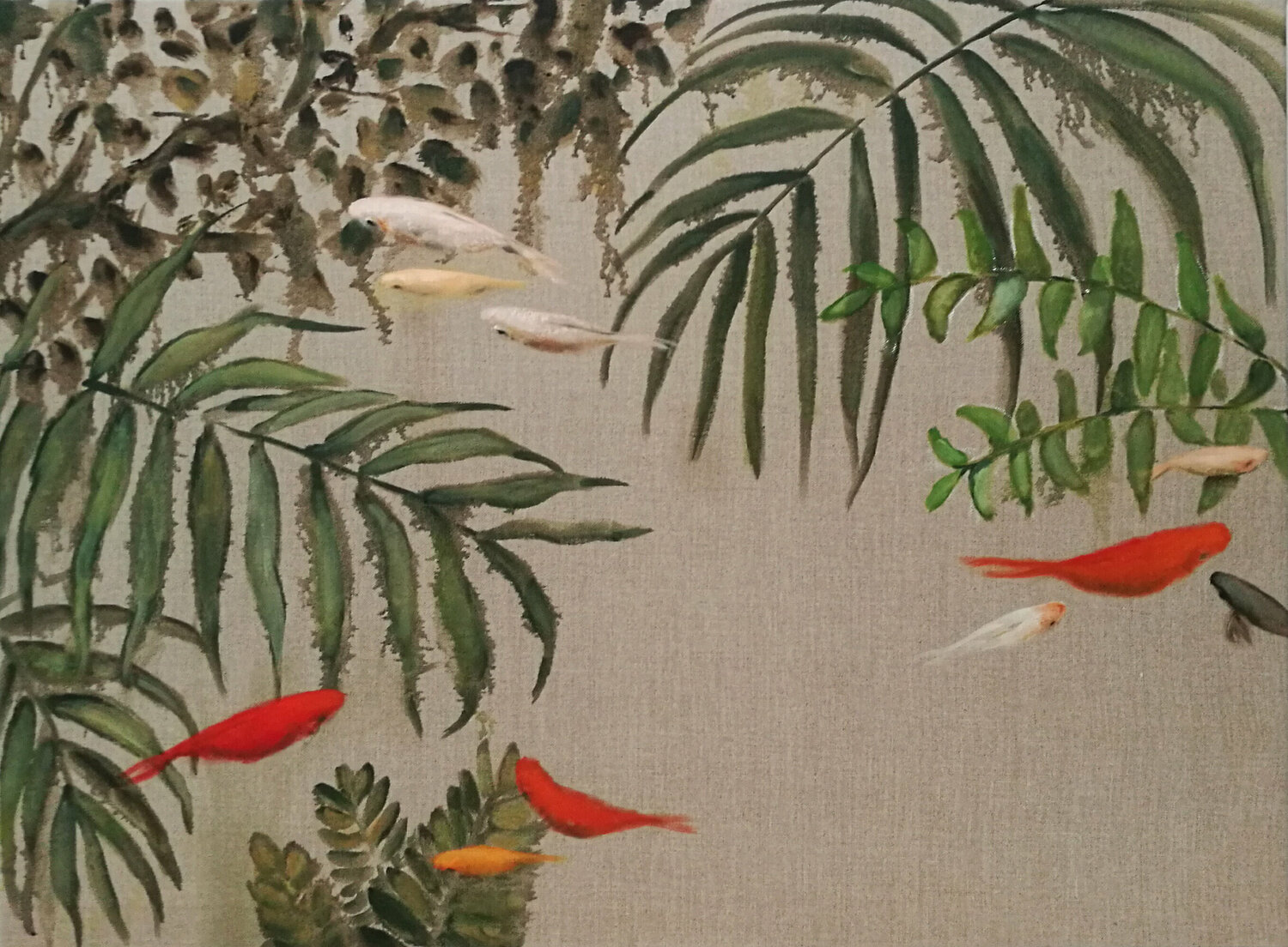 Going into the wild Valeria Pesce