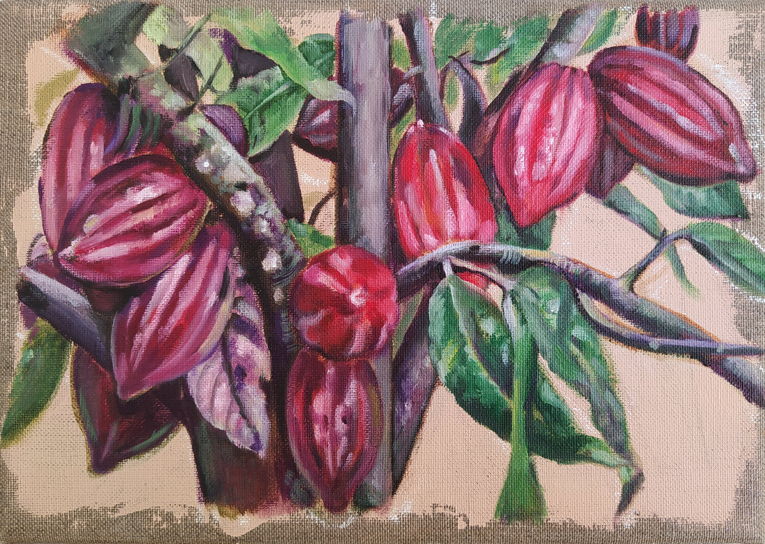 Estudio de una planta de cacao Valeria Pesce
