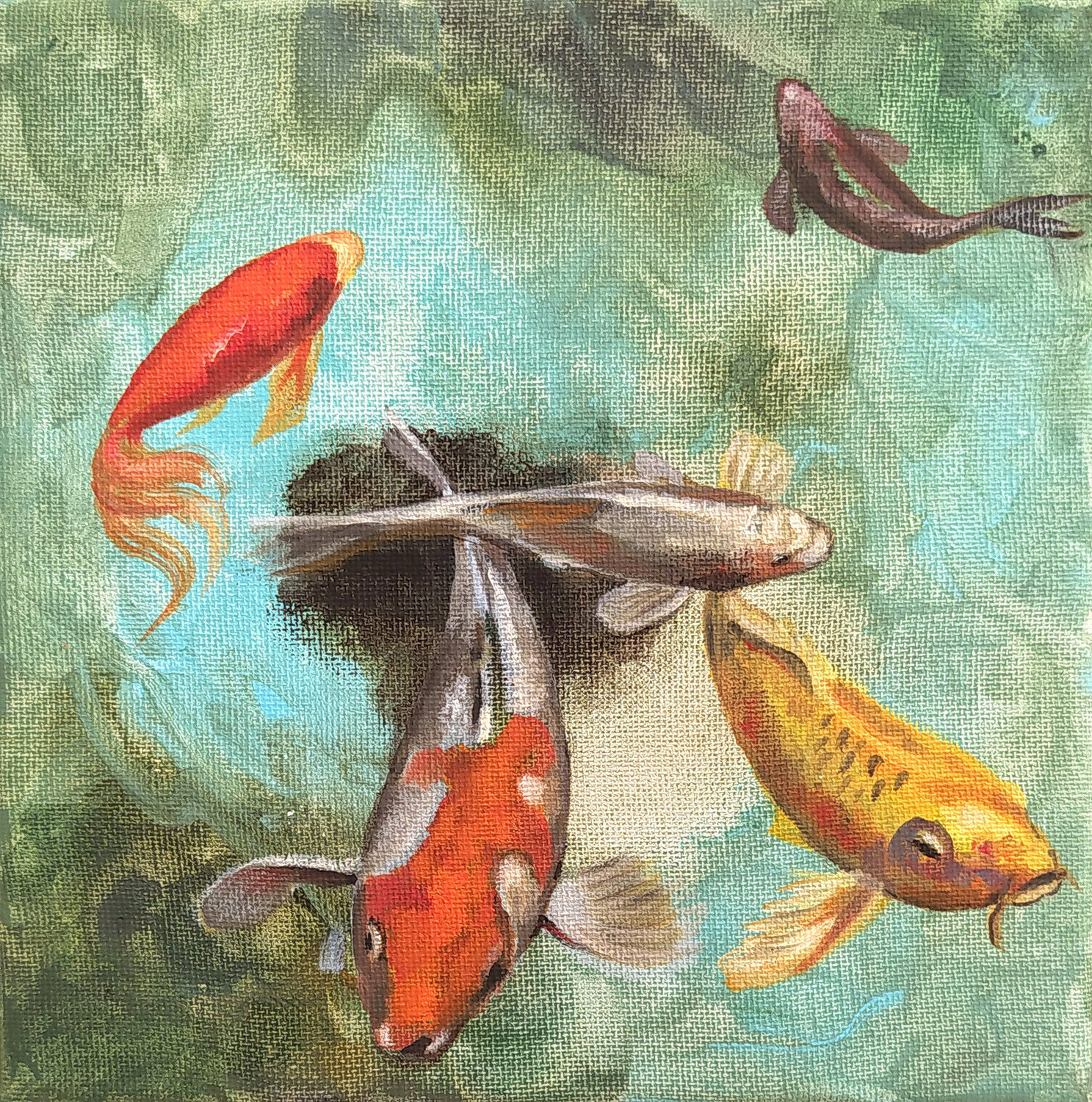 koi story Valeria Pesce