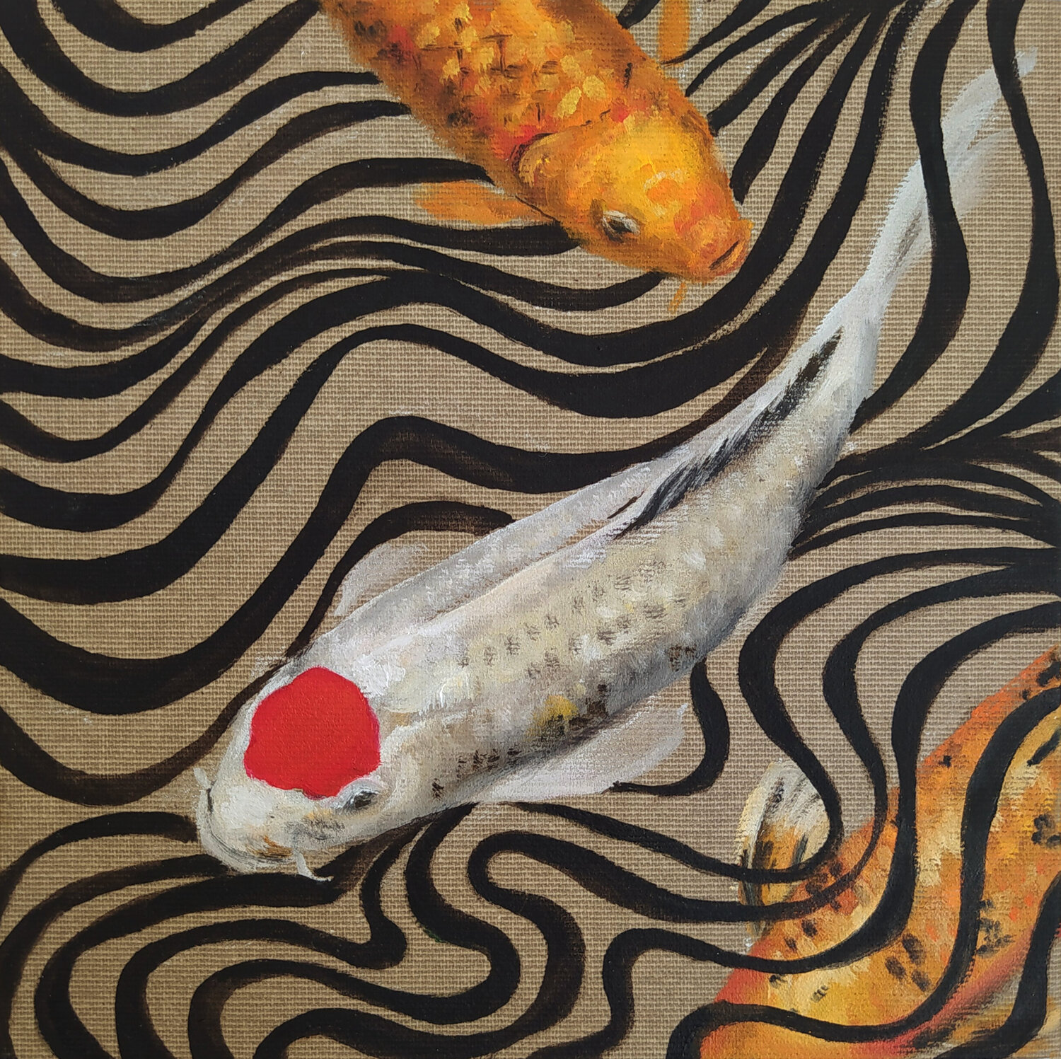 OP FISH Valeria Pesce