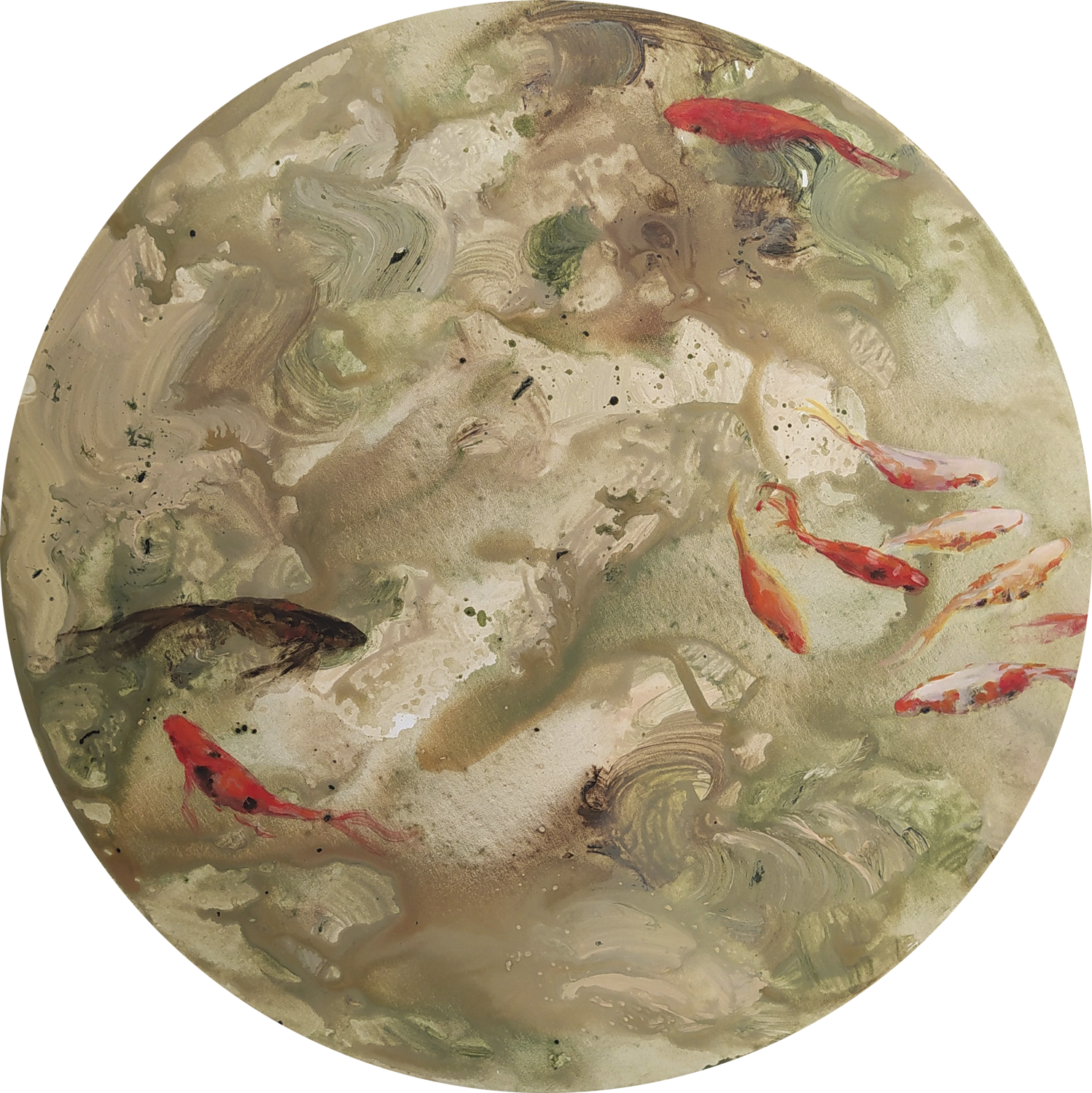 Cosmologia Pescina Valeria Pesce