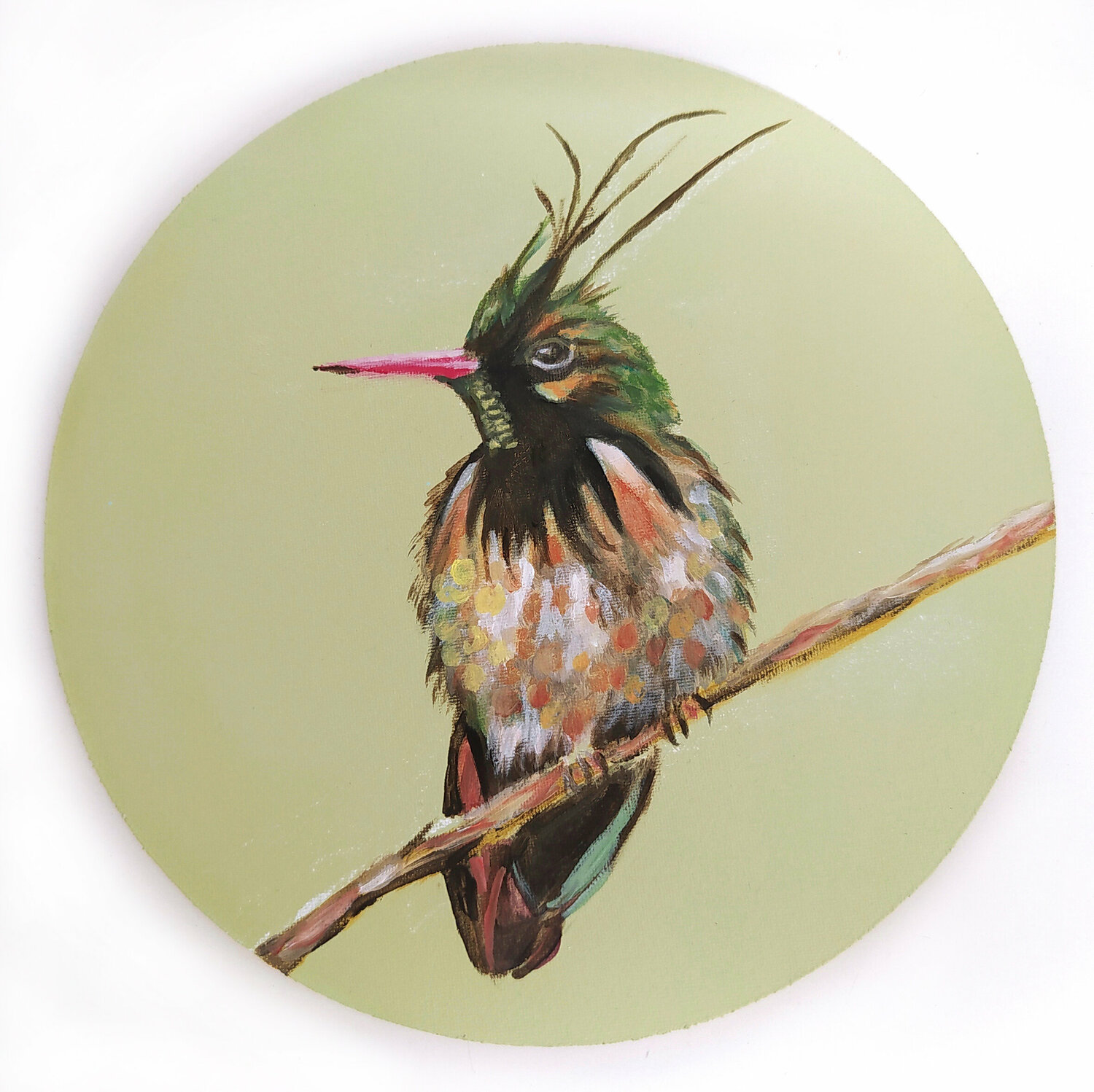 Funny bird 1 Valeria Pesce