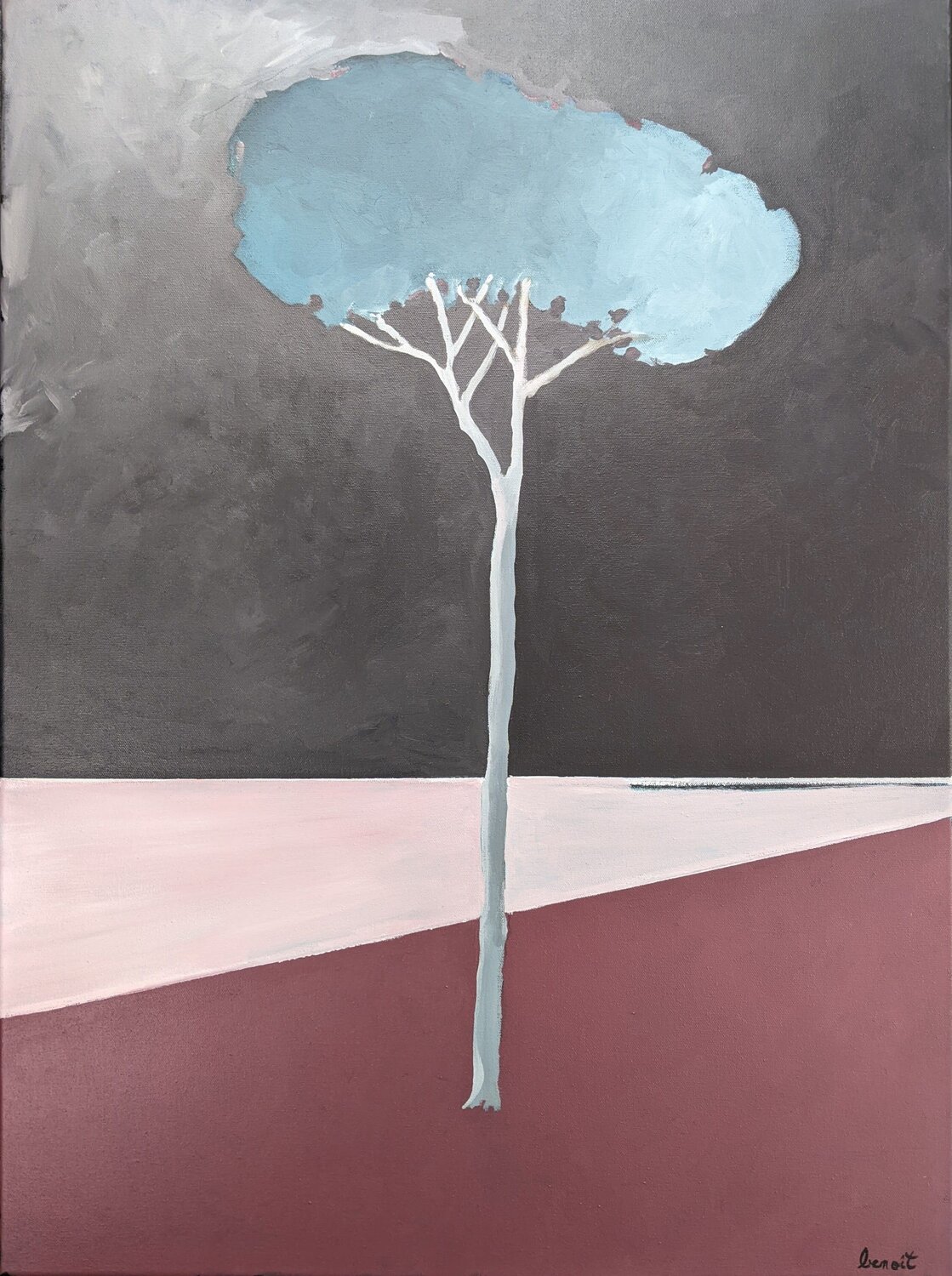 Pinus Pinea, le solitaire Benoît Guérin