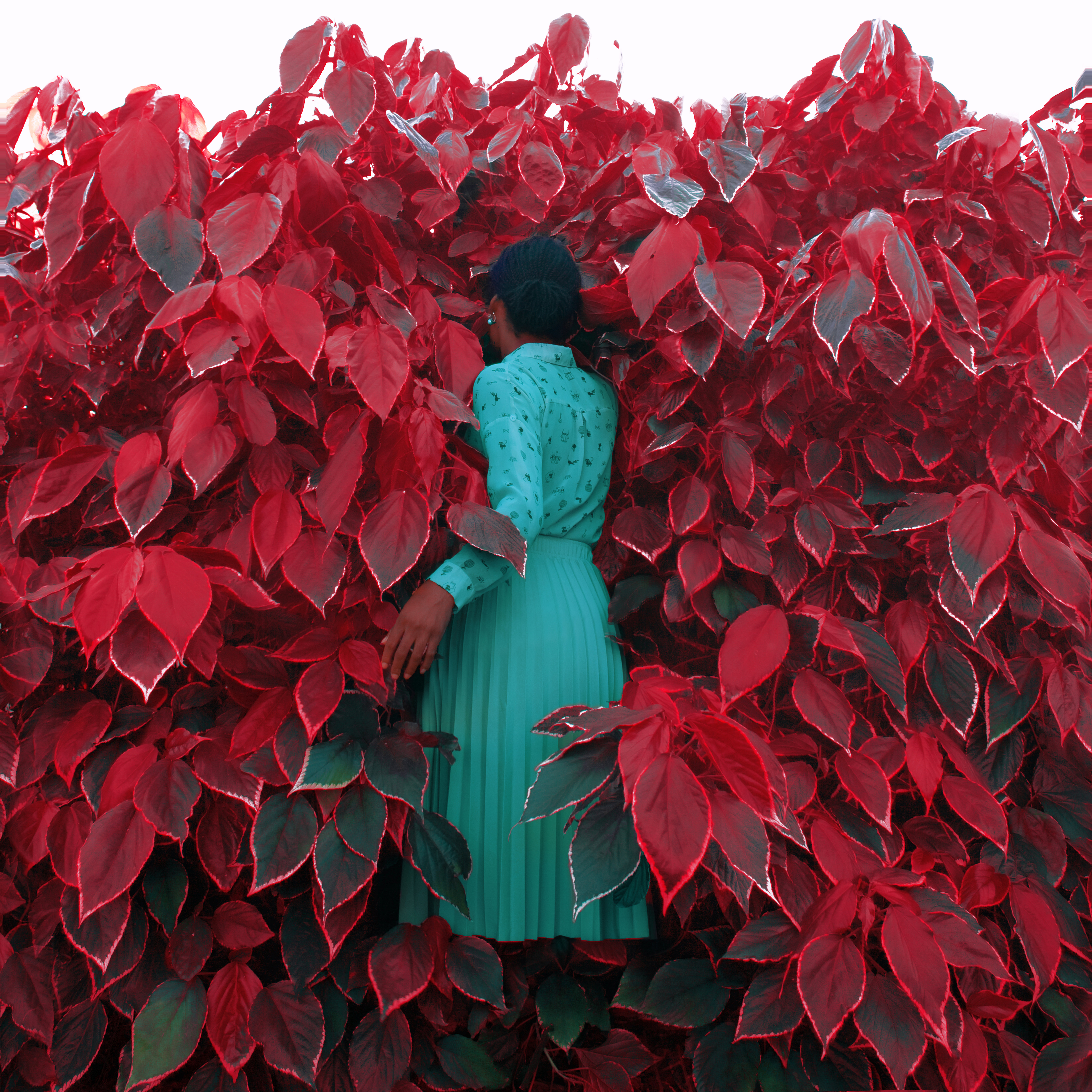 Fleurs et fruit over kleur