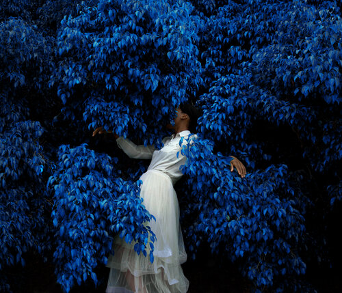 Embracing the night von Fares Micue, Fotografie kaufen auf Singulart