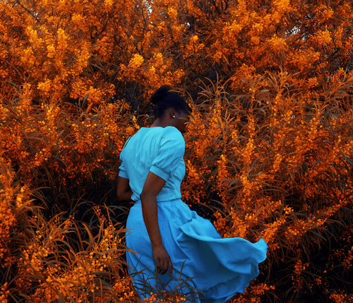 A million reasons by Fares Micue, 사진 for Sale on Singulart