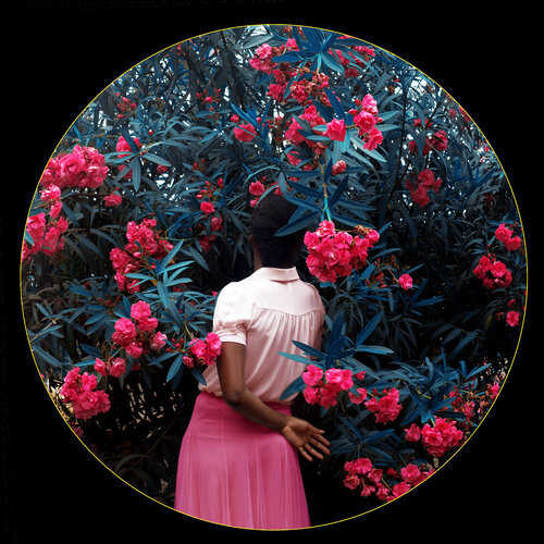 Through the lens of love by Fares Micue, 사진 for Sale on Singulart
