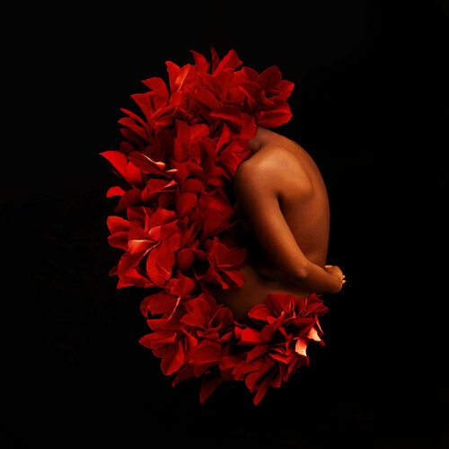 Comfort zone Fares Micue