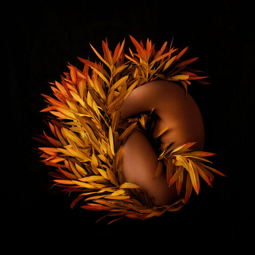 Be like a Phoenix von Fares Micue, Fotografie kaufen auf Singulart