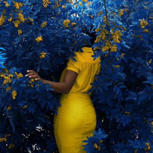 Lucid dream di Fares Micue, Fotografia in vendita su Singulart