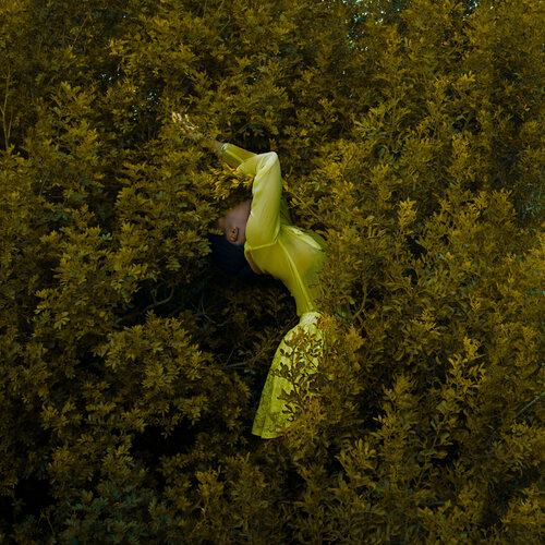 The Golden touch Fares Micue