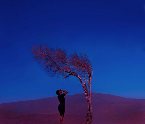 Lonely us by Fares Micue, 사진 for Sale on Singulart