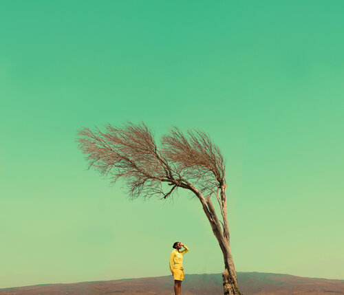 Summer breeze by Fares Micue, 사진 for Sale on Singulart