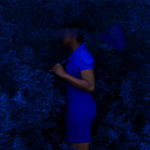 The dream catcher Fares Micue