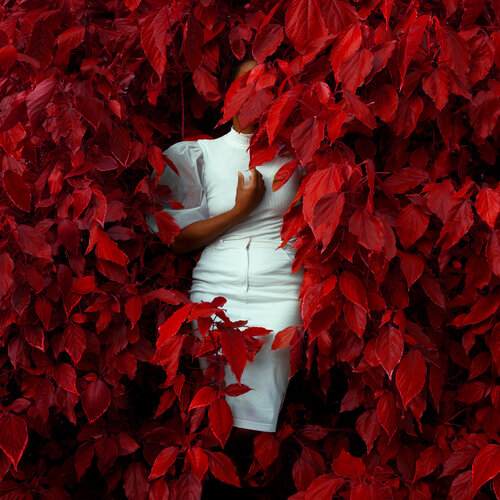 The calm of the pure heart Fares Micue